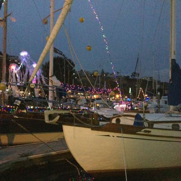 boats