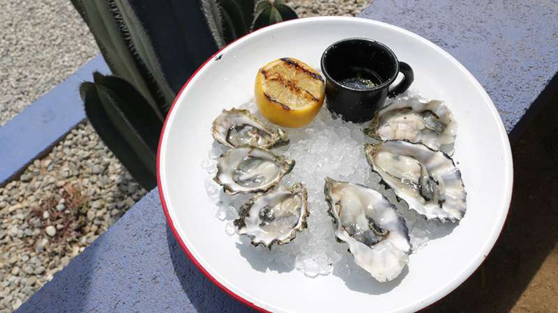 oysters-at-salazar-2
