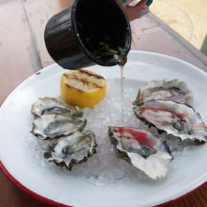 oysters-at-salazar