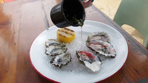oysters-at-salazar