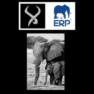 elephant-photo-300h